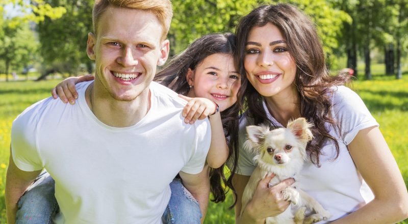 Vectra 3D bestrijdt vlooien, teken en andere plagen. Zo houd je je hond gezond en gelukkig